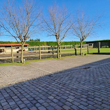 B&B 'T Hannonshof Nieuwpoort Exteriér fotografie