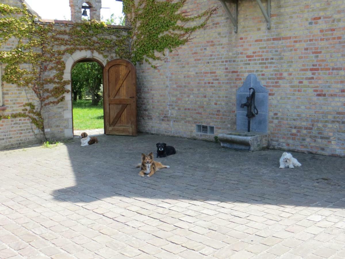 B&B 'T Hannonshof Nieuwpoort Exteriér fotografie